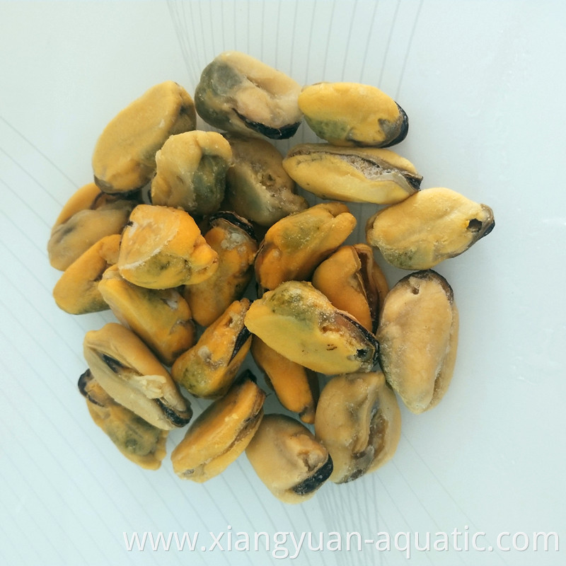 small, medium, large mussel meat for hot sale